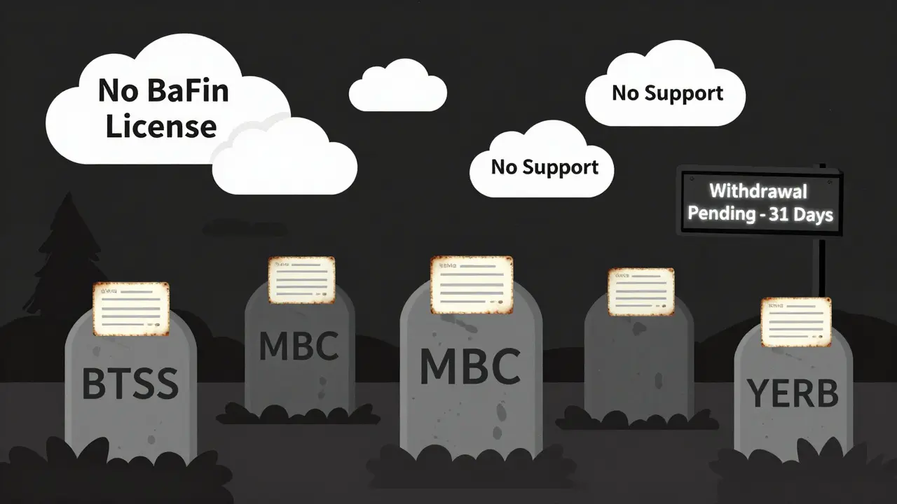 Crypto token graveyard with withdrawal request headstones under a 'No BaFin License' sky.